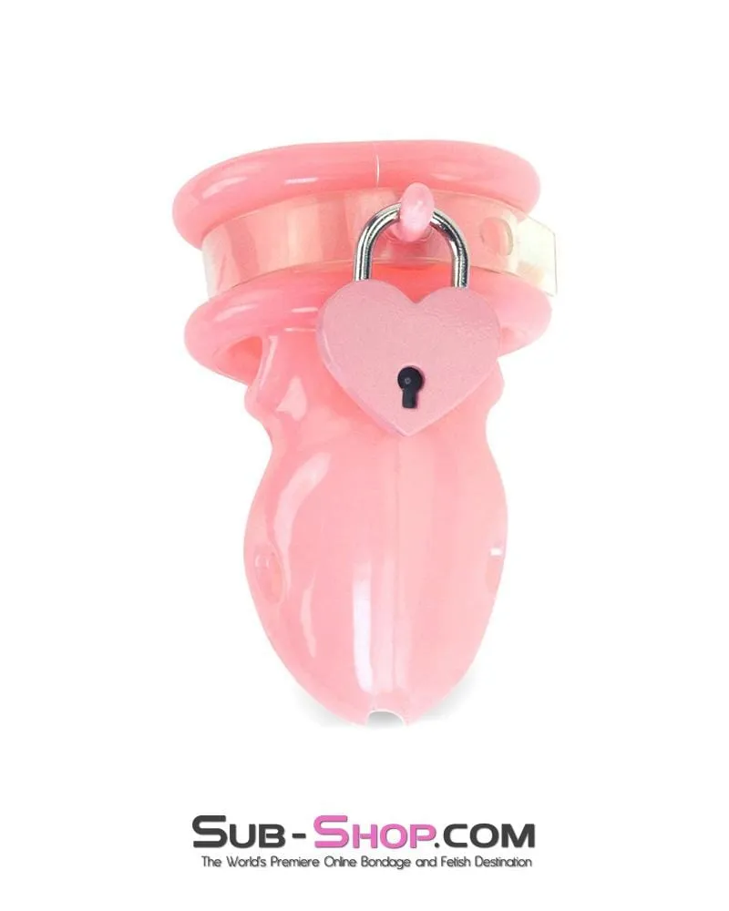 9726AE-SIS      Sissy Minx Pretty Pink Heart Bondage Sissy Training Gear Padlock