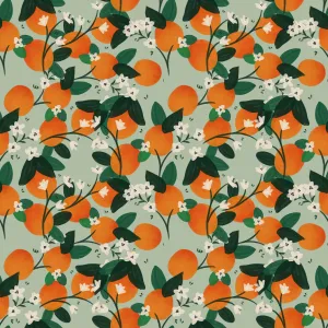Clementines Oeko Tex Jersey