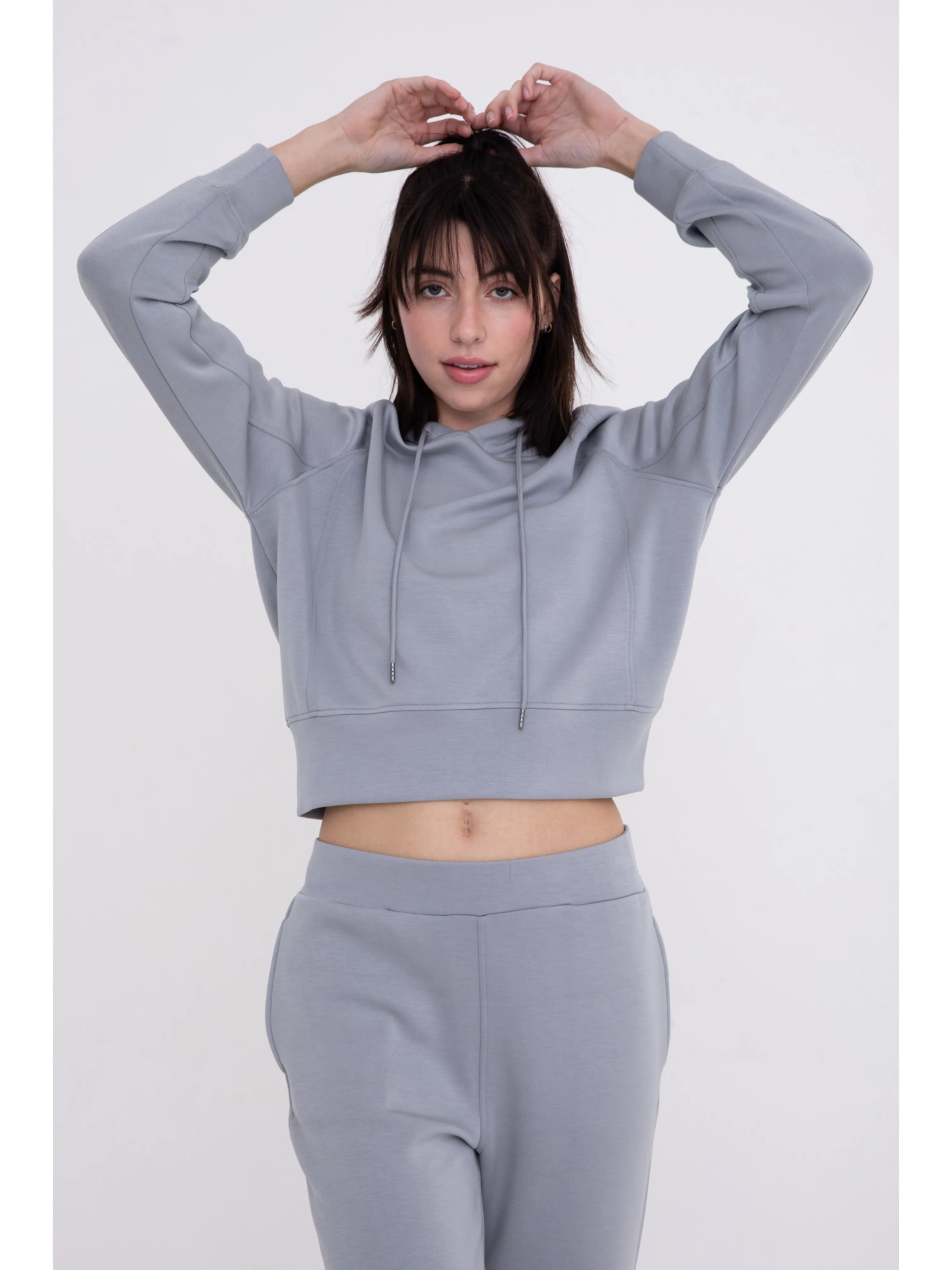 Elevated Cropped Hoodie Pullover