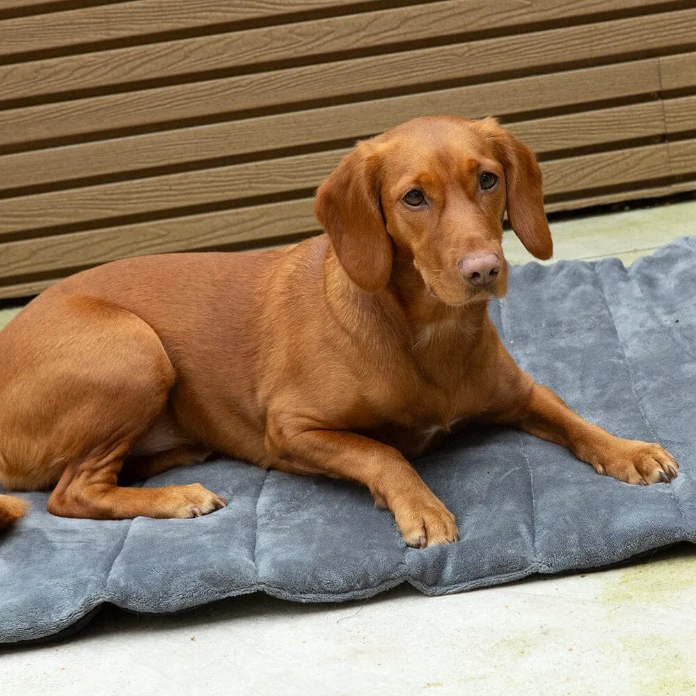 Expedition Roll Up Travel Pet Bed - Khaki Green