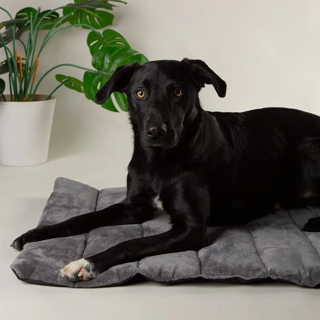 Expedition Roll Up Travel Pet Bed - Khaki Green