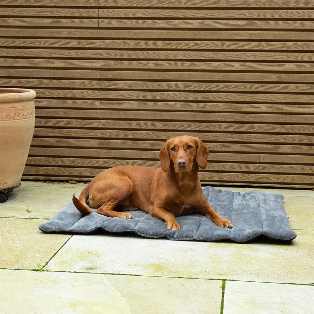 Expedition Roll Up Travel Pet Bed - Khaki Green